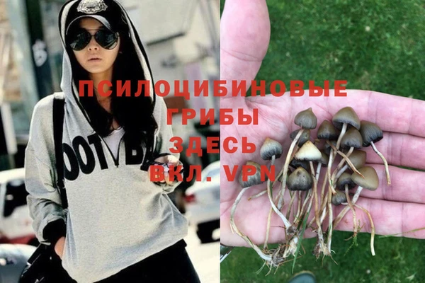 гашик Армянск