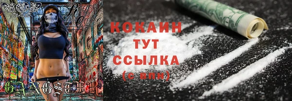 гашик Армянск