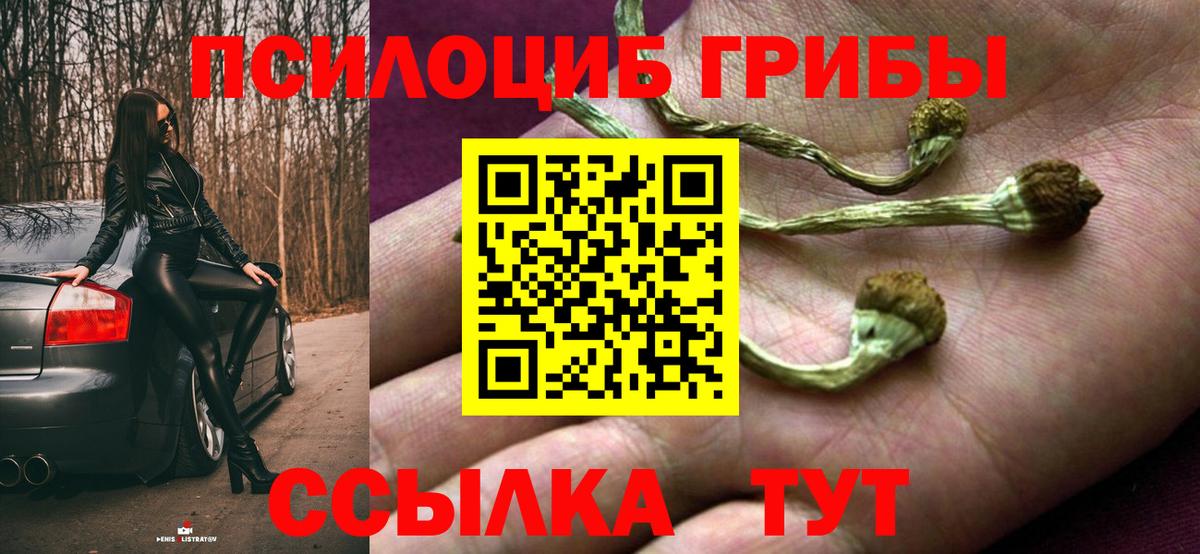 Лянтор  Галлюциногенные грибы Magic Shrooms  Вход с VPN 